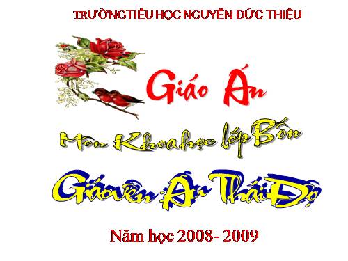 Bài 47. Ánh sáng cần cho sự sống
