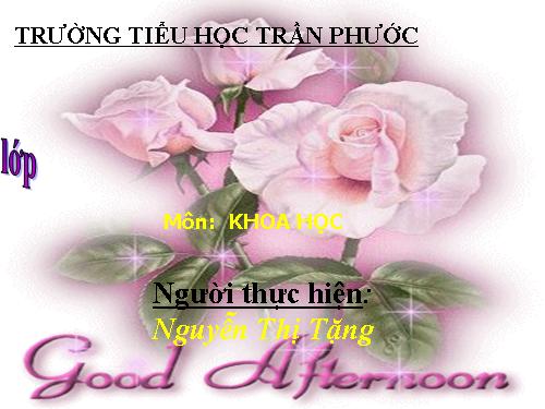 Bài 14. Phòng một số bệnh lây qua đường tiêu hoá