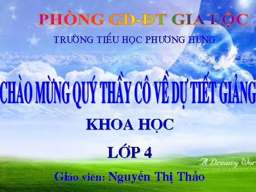 Bài 40. Bảo vệ bầu không khí trong sạch