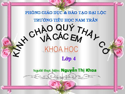 Bài 63. Động vật ăn gì để sống?