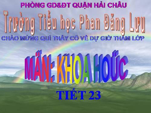 Bài 23. Sơ đồ vòng tuần hoàn của nước trong tự nhiên