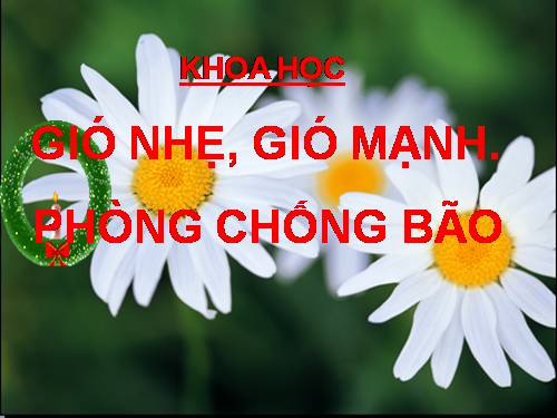 Bài 38. Gió nhẹ, gió mạnh. Phòng chống bão