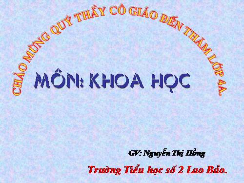 Bài 36. Không khí cần cho sự sống