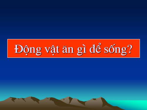 Bài 63. Động vật ăn gì để sống?