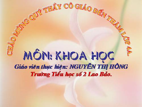 Bài 36. Không khí cần cho sự sống