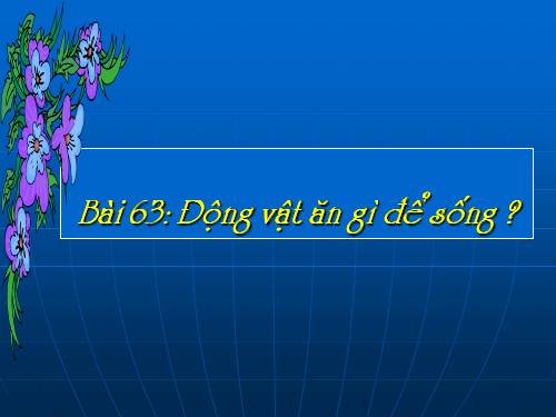 Bài 63. Động vật ăn gì để sống?