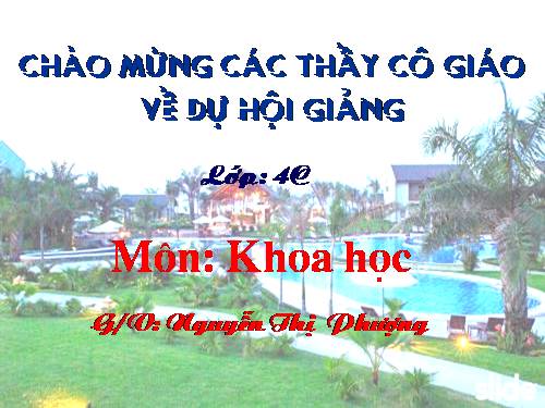 Bài 17. Phòng tránh tai nạn đuối nước