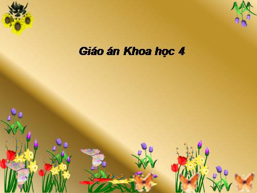 Bài 31. Không khí có những tính chất gì?