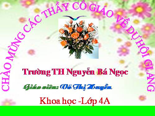 Bài 14. Phòng một số bệnh lây qua đường tiêu hoá