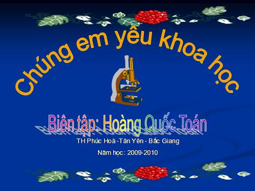 Bài 33 - 34. Ôn tập và Kiểm tra Học kì I