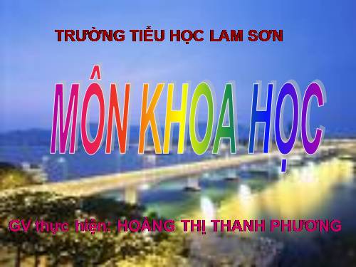 Bài 39. Không khí bị ô nhiễm