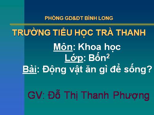 Bài 63. Động vật ăn gì để sống?