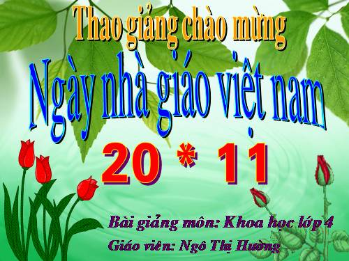 Bài 26. Nguyên nhân làm nước bị ô nhiễm