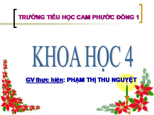 Bài 16. Ăn uống khi bị bệnh