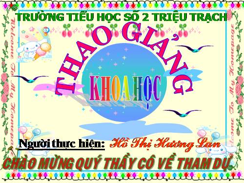 Bài 23. Sơ đồ vòng tuần hoàn của nước trong tự nhiên