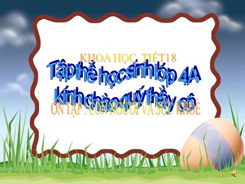 Bài 18 - 19. Ôn tập: Con người và sức khoẻ