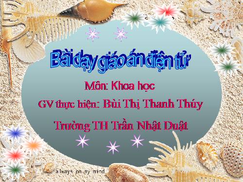 Bài 17. Phòng tránh tai nạn đuối nước