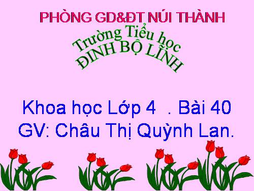 Bài 40. Bảo vệ bầu không khí trong sạch