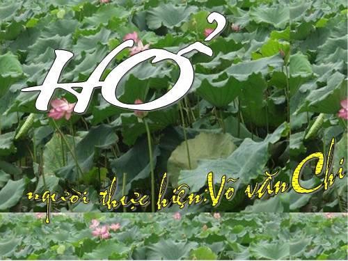 ((HO))!!!!!!!!nè.