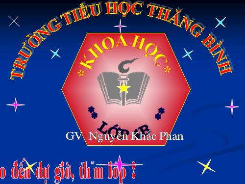 Bài 21. Ba thể của nước