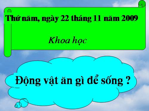 Bài 63. Động vật ăn gì để sống?