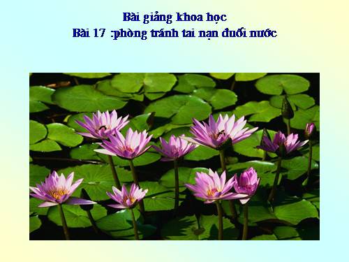Bài 17. Phòng tránh tai nạn đuối nước