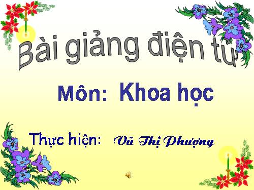 Bài 10. Ăn nhiều rau và quả chín, sử dụng thực phẩm sạch và an toàn