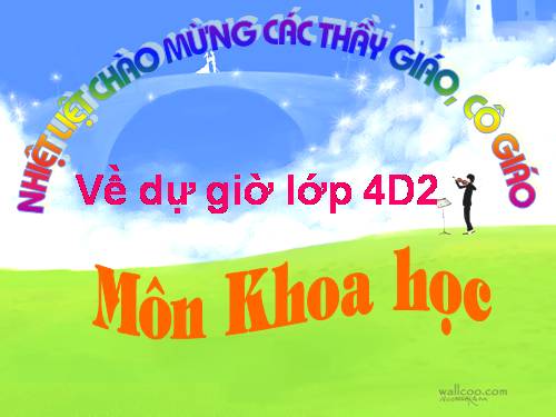 Bài 17. Phòng tránh tai nạn đuối nước