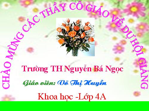 Bài 14. Phòng một số bệnh lây qua đường tiêu hoá