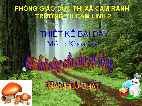 Bài 47. Ánh sáng cần cho sự sống