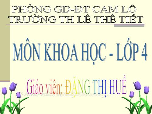 Bài 38. Gió nhẹ, gió mạnh. Phòng chống bão