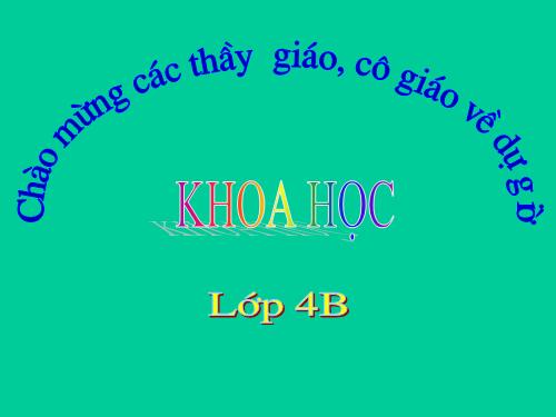 Bài 67 - 68. Ôn tập: Thực vật và động vật