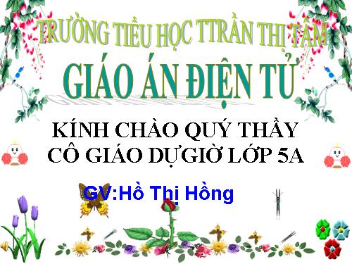 Bài 64. Trao đổi chất ở động vật