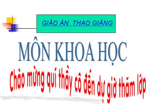 Bài 16. Ăn uống khi bị bệnh