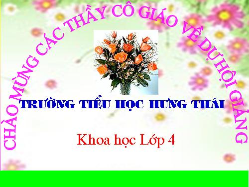 Bài 14. Phòng một số bệnh lây qua đường tiêu hoá