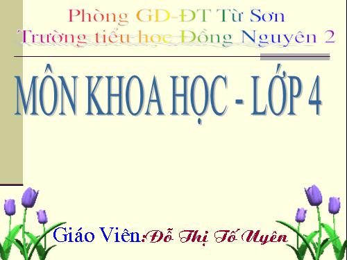 Bài 39. Không khí bị ô nhiễm