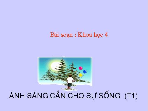 Bài 47. Ánh sáng cần cho sự sống