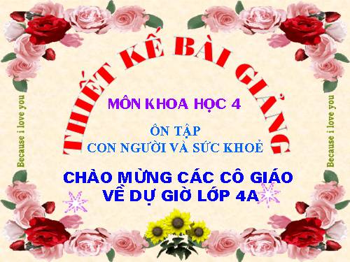 Bài 18 - 19. Ôn tập: Con người và sức khoẻ