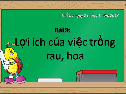 Bài 9. Lợi ích của việc trồng rau, hoa