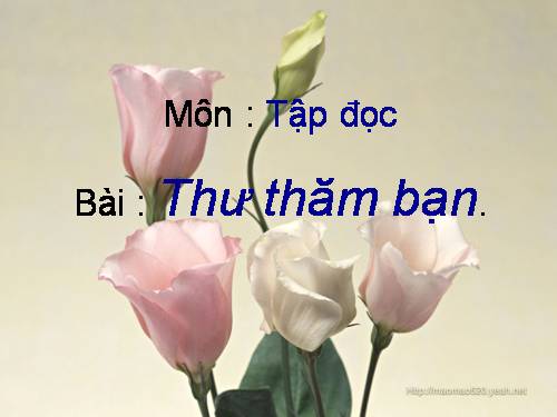 Tuần 3. Thư thăm bạn