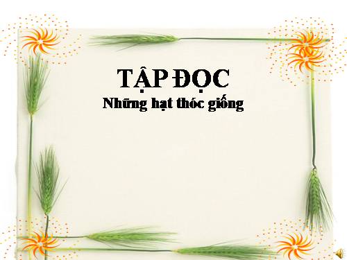 Tuần 5. Những hạt thóc giống