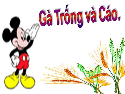 Tuần 5. Gà Trống và Cáo