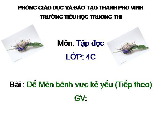 Tuần 2. Dế Mèn bênh vực kẻ yếu (tiếp theo)