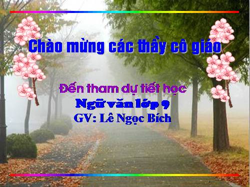 Tuần 24. Đoàn thuyền đánh cá