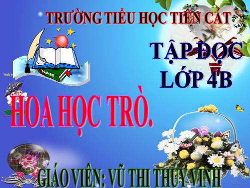 Tuần 23. Hoa học trò