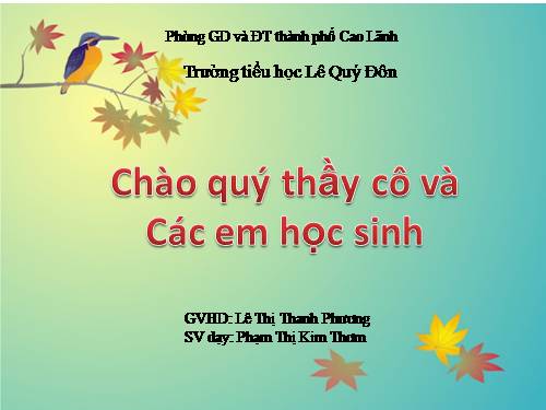 Tuần 27. Con sẻ