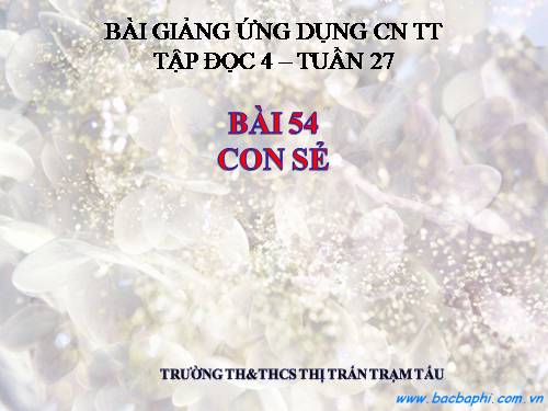 Tuần 27. Con sẻ