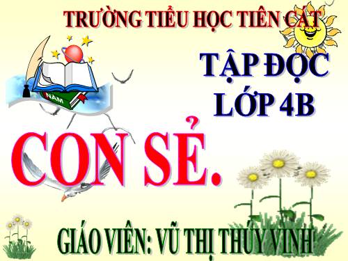 Tuần 27. Con sẻ