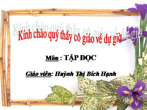 Tuần 25. Khuất phục tên cướp biển