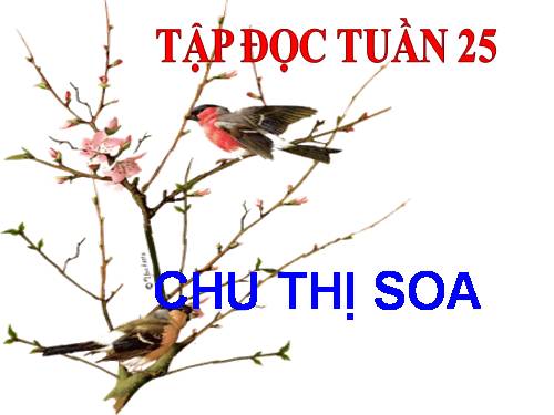 Tuần 25. Khuất phục tên cướp biển